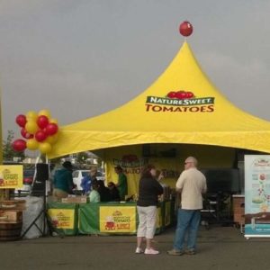 20x20 Extra Marquee Tent w/ frame poles stakes