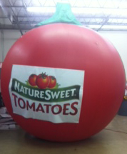 Large Inflatable Nature Sweet Tomatoes