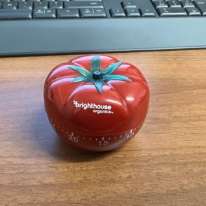 Brighthouse Timers Tomato Shape