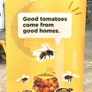 NS Tomatoes Raised Right Retractable Banner 33.5" x 79.5