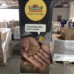 NS Choosing the right seeds Retractable Banner